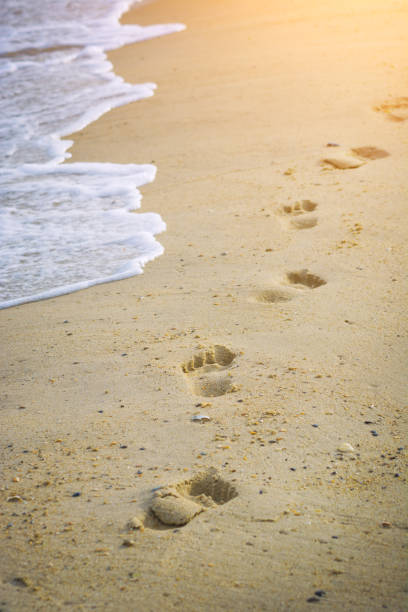 istock Footsteps of a child on a sand 1427137009