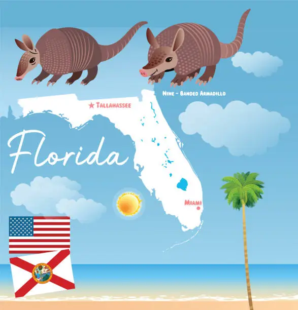 Vector illustration of Florida and  Nine-banded armadillo