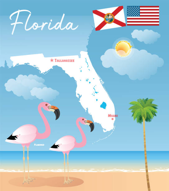 ilustrações de stock, clip art, desenhos animados e ícones de florida map and flamingo - florida cartography map florida keys