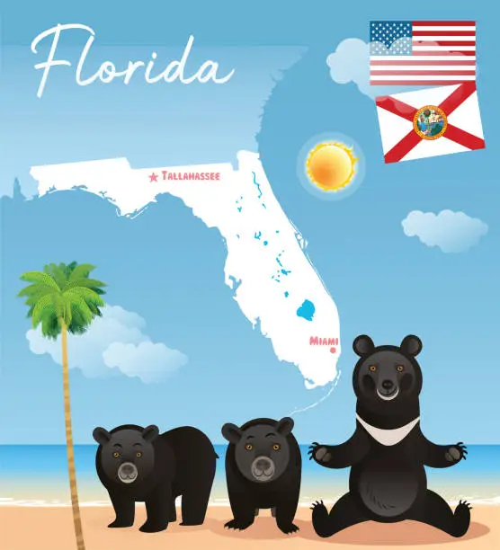 Vector illustration of Florida Map and Black Bear