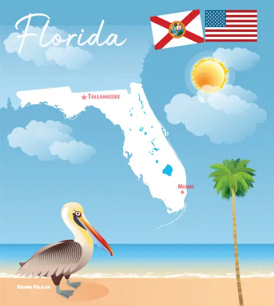 Vector illustration of Florida Map and Brown Pelican