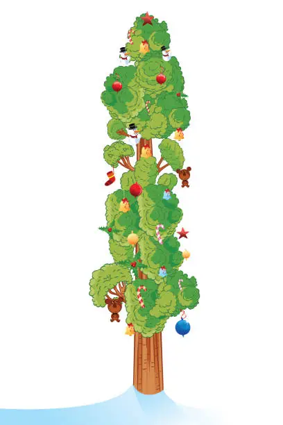 Vector illustration of Sequoia tree