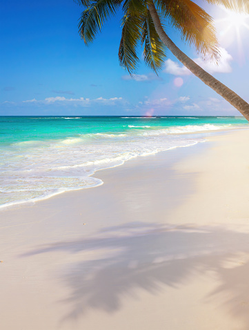 beautiful summer tropical holiday background; suny sandy beach, palm tree and sunset sea sky