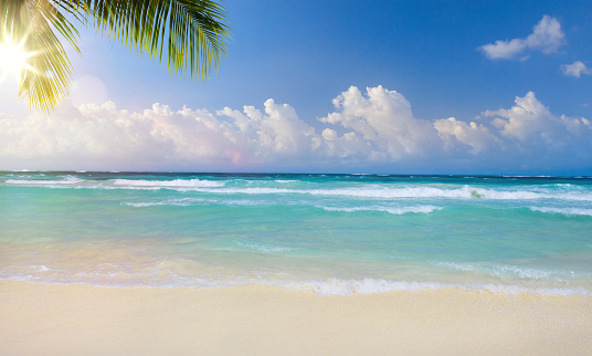 Art beautiful summer tropical holiday background; suny sandy beach, palm tree and sunset sea sky