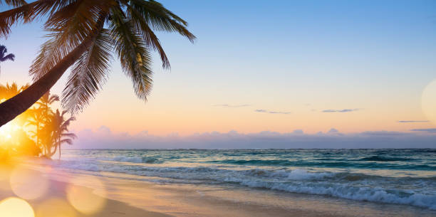 istock Art Beautiful sunrise over the tropical beach 1427142574