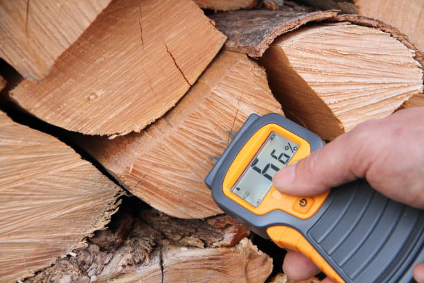 Measure moisture in firewood stock photo