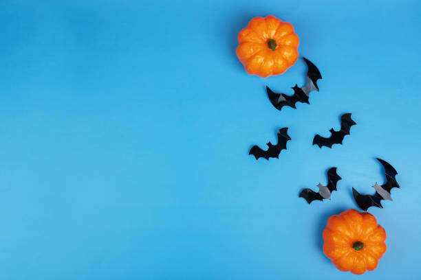 istock halloween sale, pumpkin and bats,copy space,blue background 1427144147