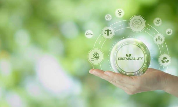 istock Sustainable business strategy concepy. Growing sustainability by doing business with positively impacting the environment, community and society. Challenges and drive business success. ESG. 1427146006