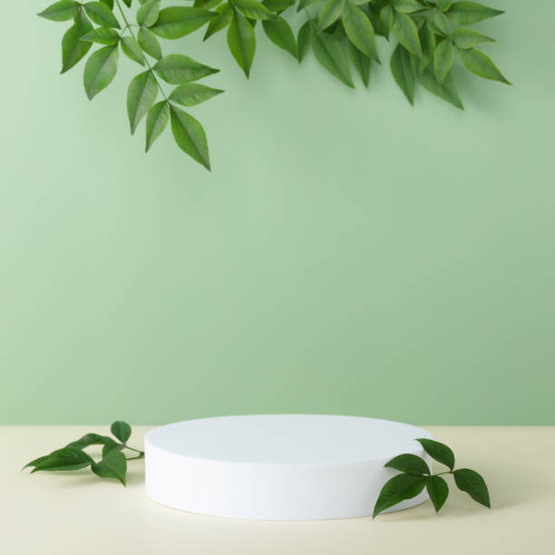 istock Abstract empty white podium with palm leaves on beige background 1427176928
