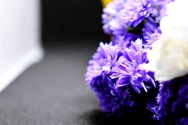 istock Bunch of purples flowers 1427197761