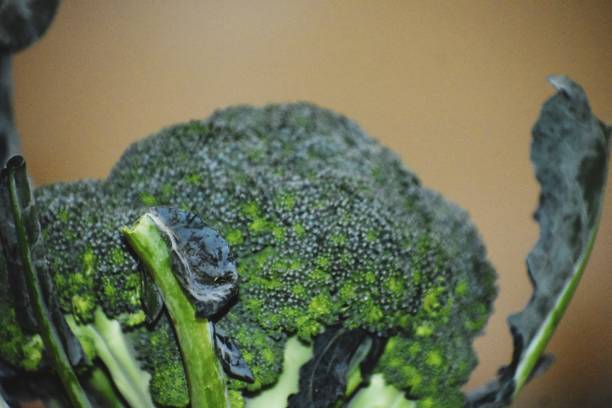 istock Snap of a broccoli 1427202731