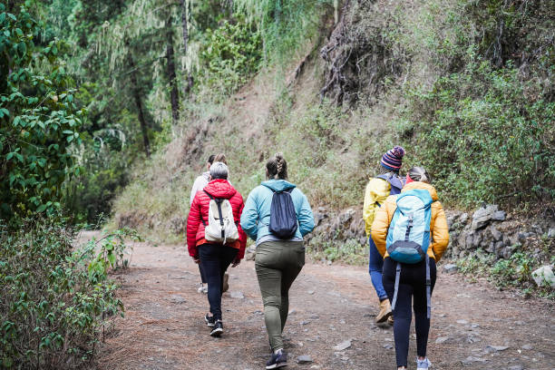 istock Multiracial women having fun during trekking day in mountain forest - Main focus on left backpacks 1427205333