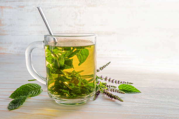 fresh peppermint leaves and flowers brewed as herb tea in a glass cup on a light wooden table, copy space, selected focus stock photo