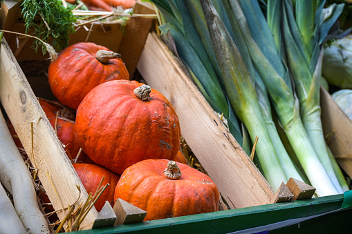 Organic Hokkaido pumpkin or Red Kuri Squash and leek in boxes, freshly harvested vegetables for sale at a farmers market, selected focus, narrow depth of field
