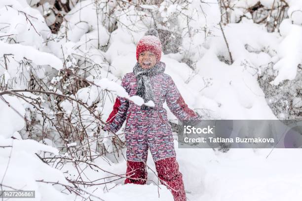 Happy little African-American girl in red hat and jumpsuit walks in the winter forest and throws up snow.Beautiful trees are covered with white snow.Winter fun,active lifestyle concept.