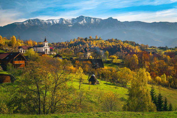 Countryside autumn landscape with colorful deciduous trees, Magura, Romania Stunning autumn rural landscape and colorful deciduous trees on the hills. Colorful autumn forest on the slope and snowy mountains in background, Carpathians, Transylvania, Romania, Europe carpathian mountain range stock pictures, royalty-free photos & images