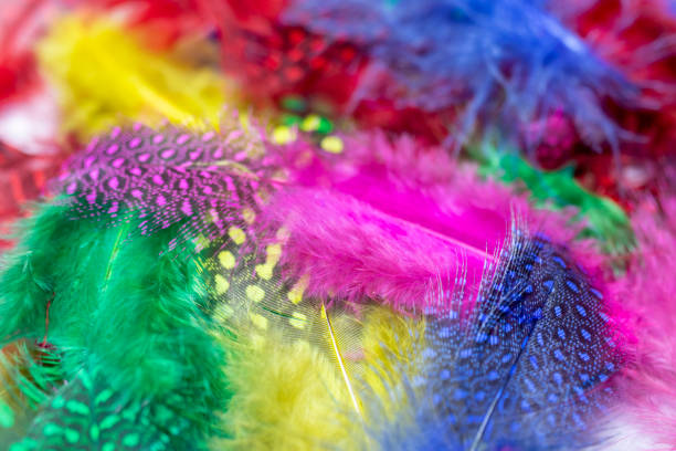 istock Colorful bird feathers as a background, close-up. 1427211921