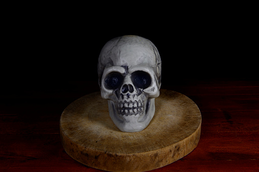 skull on a cutting board on a dark background.Halloween day concept.