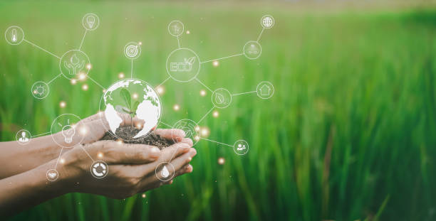istock Hand holding soil and seedling with globe hologram. Environment and ecology concept. Save the world project. Nature background. 1427218908