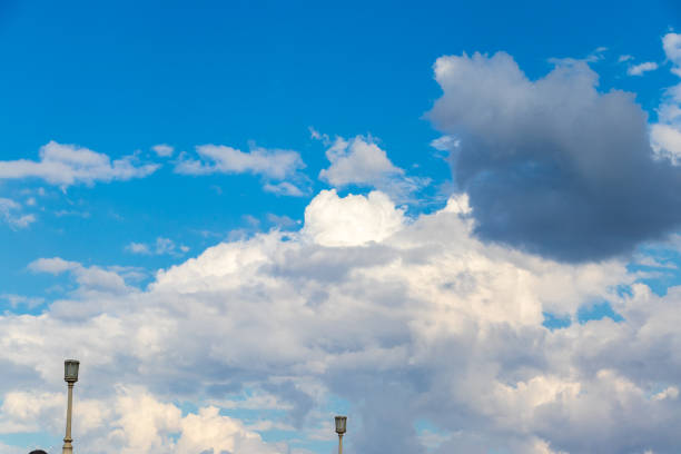 Seagull flying over a cityscape under a cloudy sky
