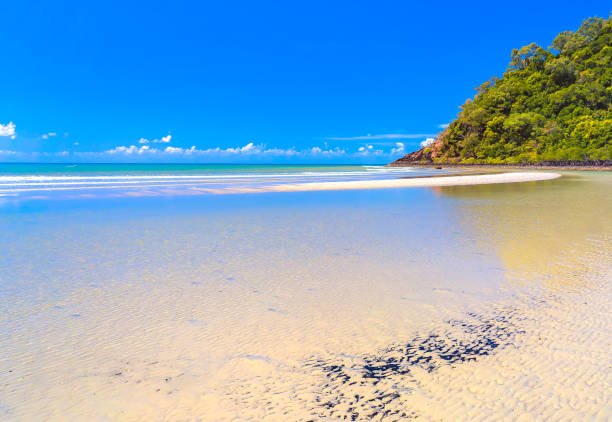 Beach and headland overlooking the Coral Sea at Cape Tribulation, Far North Queensland, Australia