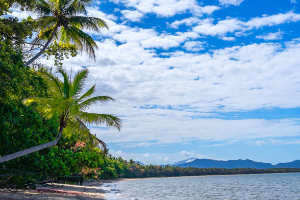 istock Wonga Beach near Port Douglas, tropical Australia 1427221102