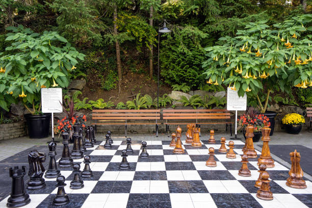 scacchiera gigante, butchart gardens isola di vancouver, canada - buchart gardens foto e immagini stock