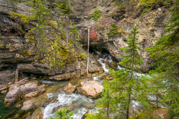 istock Maligne Canyon, Jasper National, Alberta Canada 1427221466