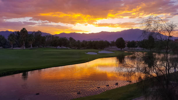 Birds Enjoying a Beautiful Palm Desert Sunset Spectacular colorful sunset and lake reflection at Shadow Ridge in Palm Desert, California palm desert pool stock pictures, royalty-free photos & images