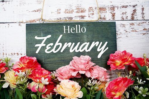 Hola febrero tipografía texto decorado con flor sobre fondo de madera photo