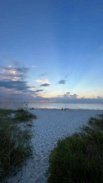 istock SATURDAY NIGHT ON THE BEACH 1427223221
