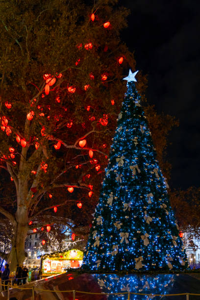 istock Christmas tree in Vienna, Austria 1427229525