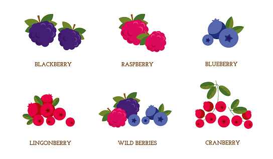 A set of isolated vector berries. Cartoon flat illustration.