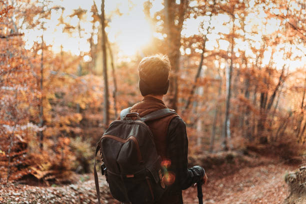 istock Young man with backpack in the woods. Autumn colors 1427231751