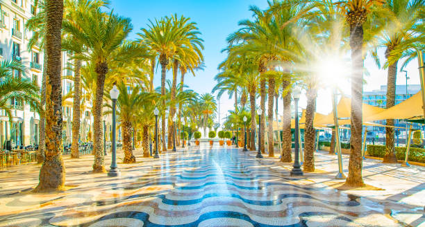 promenade ensoleillée avec des palmiers dans la ville d’alicante, espagne - beach water coastline waterfront photos et images de collection