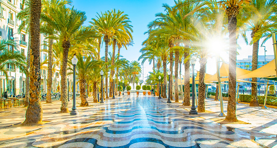 Sunny promenade with palm trees in Alicante city, Spain travel pphoto