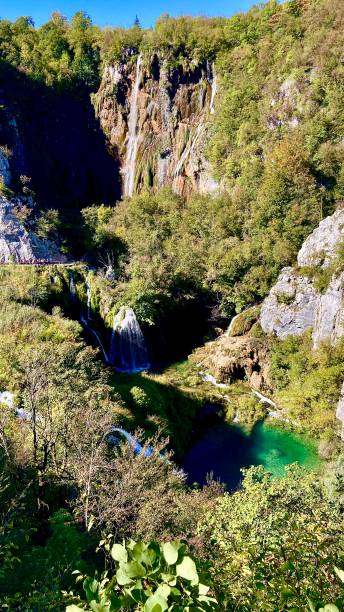 istock Nature Wildlife & Water 1427243428