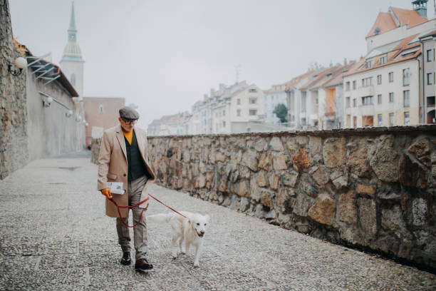 Happy elegant senior man walking his dog outdoors in city. stock photo