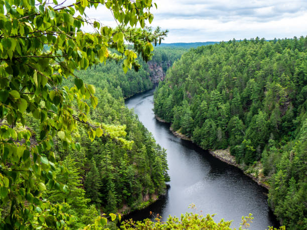 Scenic view from the Barron Canyon Trail in Algonquin Provincial Park, Ontario, Canada August 2022. The natural beauty of the rock cliffs and trees overlooking the Barron River.