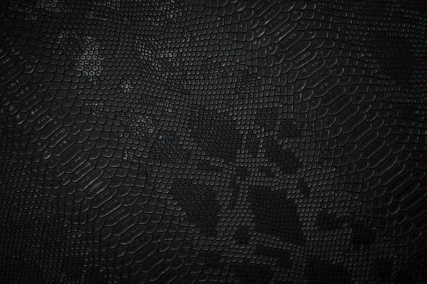 istock Vegan Snakeskin leather texture 1427250705