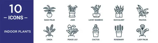 Vector illustration of indoor plants outline icon set includes thin line sago palm, lucky bamboo, pacova, peace lily, rosemary, lady palm, cinza icons for report, presentation, diagram, web design