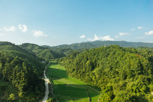 istock beautiful natural scenery in summer 1427253942