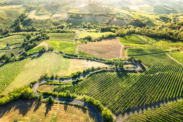Aerial view of hills in Oltrepo' Pavese covered in vineyards and fields at sunset, Lombardy, Italy stock photo