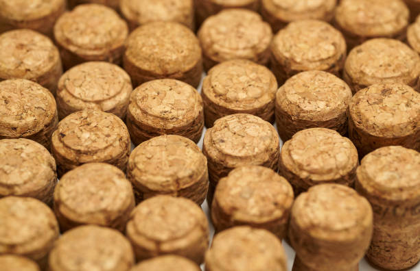 istock Closeup pattern background of many different champagne corks, champagne corks background, different champagne corks texture. 1427255049