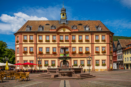 Town Hall in Lüneburg in Lower Saxony. Germany