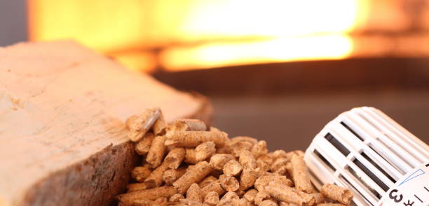 istock fireplace with pellets and thermostat 1427259259