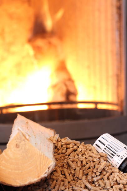 a burning pellet fireplace and thermostat in the foreground