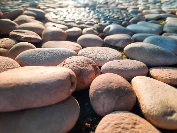 Sun shining on garden pebbles in front of the house