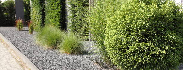 istock a modern front yard with stones and plants 1427259877