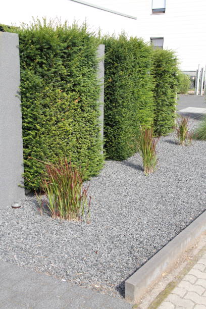 istock a modern front yard with stones and plants 1427259944